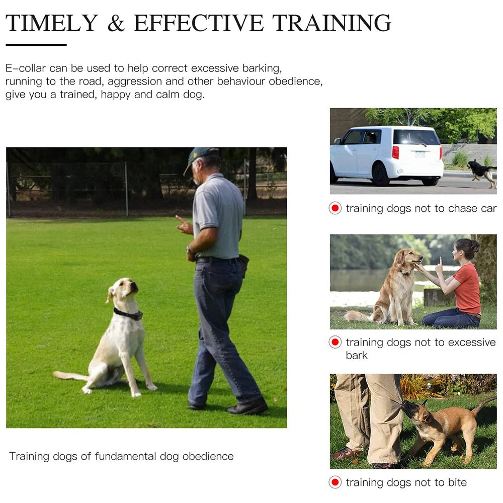 Electric Dog Training Collar – Rechargeable Anti-Barking Shock & Vibration Collar with Clicker