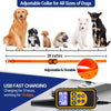 Electric Dog Training Collar – Rechargeable Anti-Barking Shock & Vibration Collar with Clicker